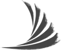 wirmachenwelle e.V.